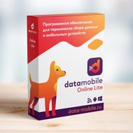 Программное обеспечение DataMobile, версия Online Lite - подписка на 6 месяцев