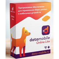 Программное обеспечение DataMobile, версия Online Lite - подписка на 6 месяцев